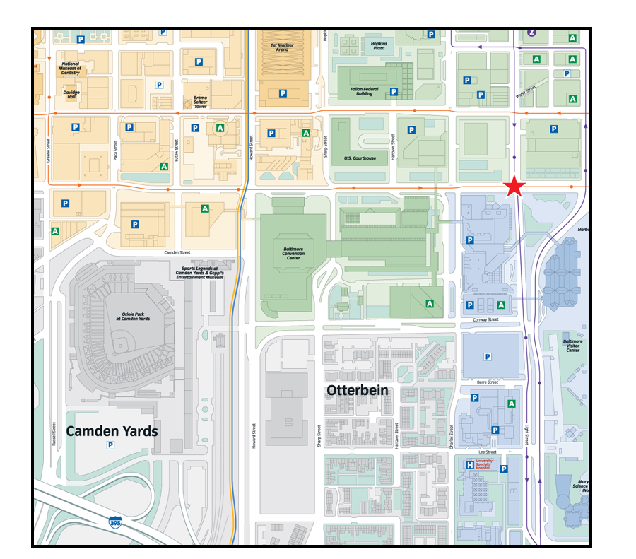 Detailed City Street Map Illustration